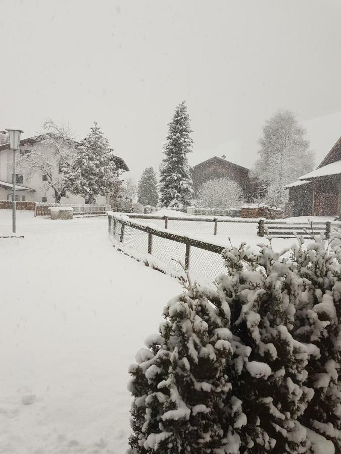 Haus Wiesenheim Fw Oetztal แลงเงนเฟลด์ ภายนอก รูปภาพ